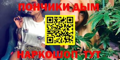 крисы Лесосибирск