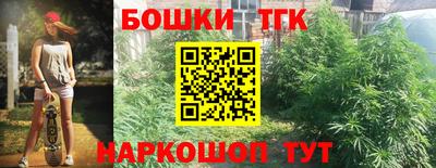 крисы Лесосибирск