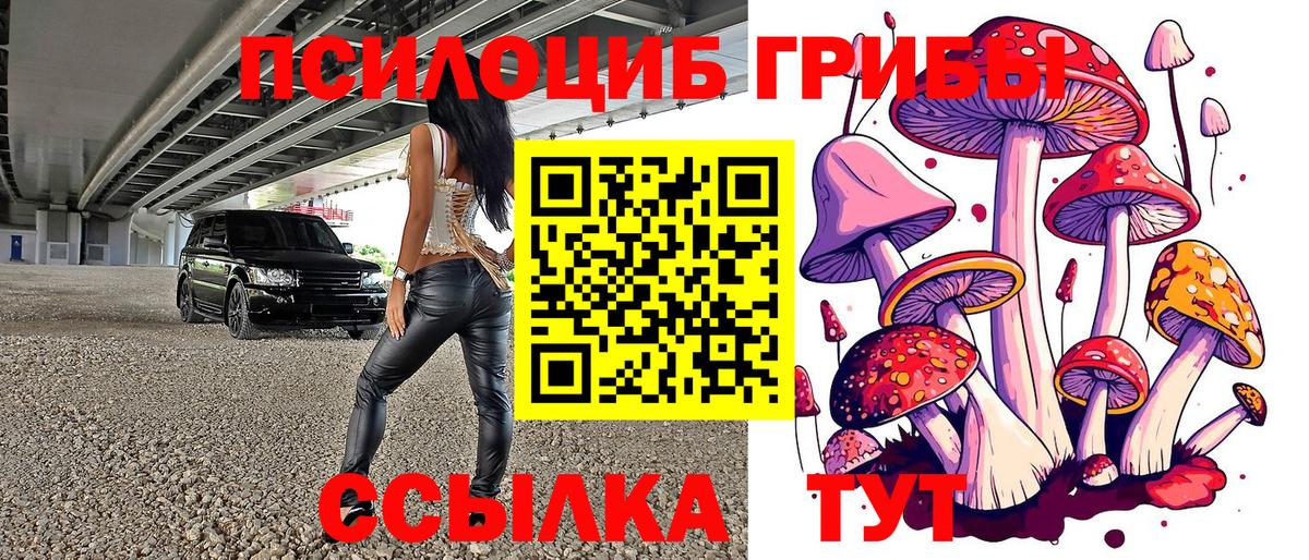 Псилоцибиновые грибы Psilocybine cubensis  Вход с VPN  Дербент 